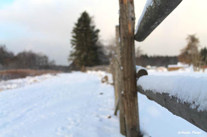 post-1184-0-02034600-1389710320_thumb.jp