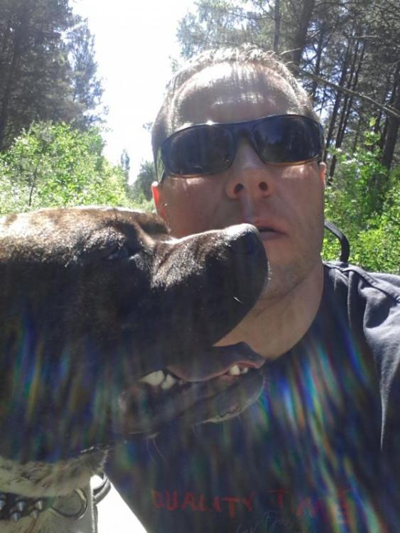 post-32832-0-87942200-1389602308_thumb.j