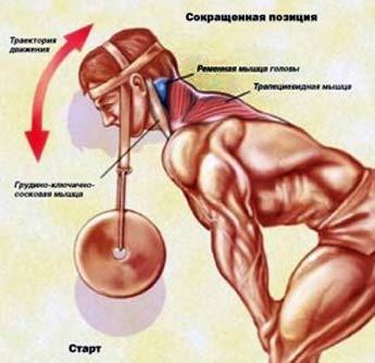 post-35675-0-12053300-1420851698_thumb.j