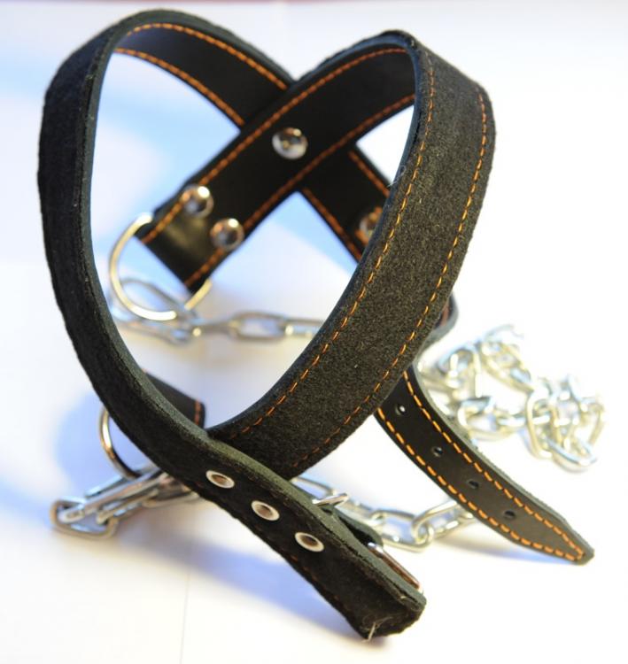 post-35675-0-37092800-1420851687_thumb.j