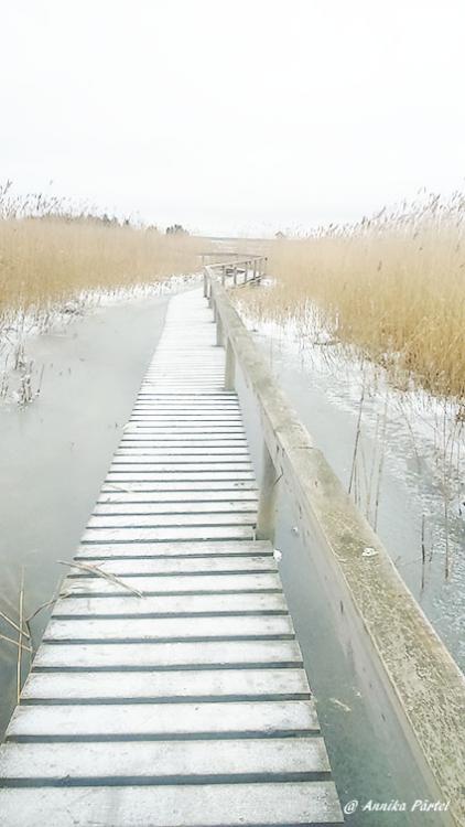 post-1184-0-09937800-1451734542_thumb.jp