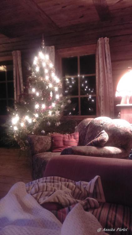 post-1184-0-14742000-1451734252_thumb.jp