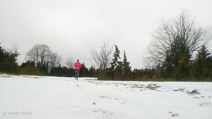 post-1184-0-34762600-1451734440_thumb.jp