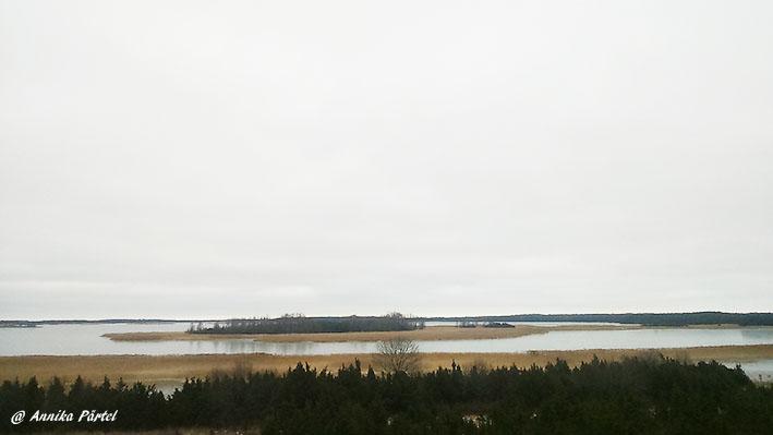 post-1184-0-34767900-1451734558_thumb.jp