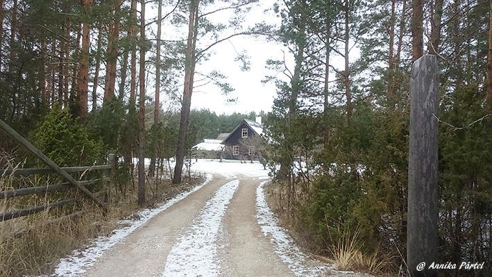 post-1184-0-74631300-1451734576_thumb.jp