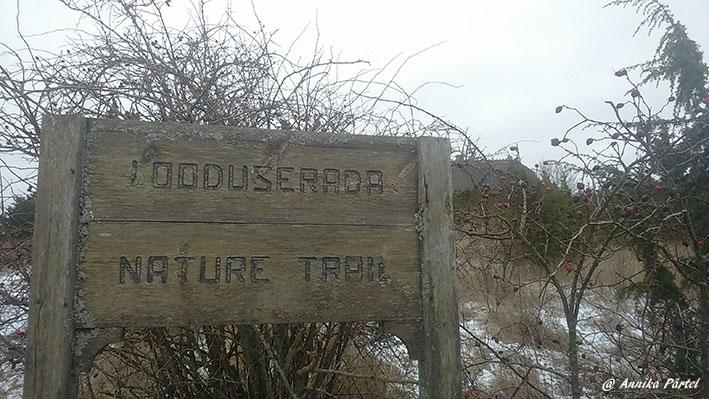 post-1184-0-74690000-1451734509_thumb.jp