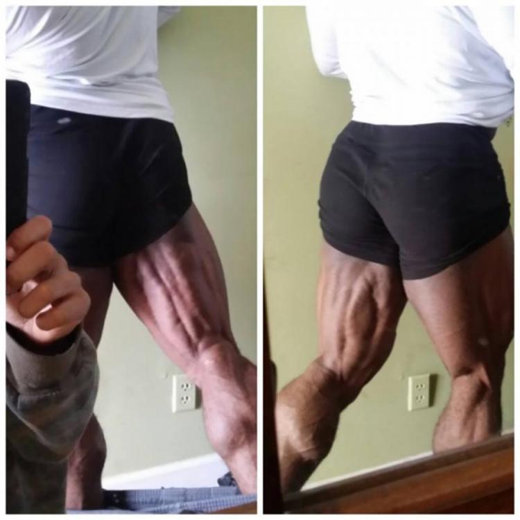 post-6888-0-11363200-1392225576_thumb.jp