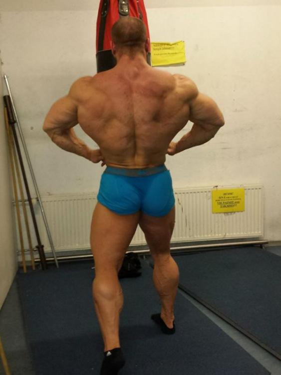 post-6888-0-41058600-1391457720_thumb.jp