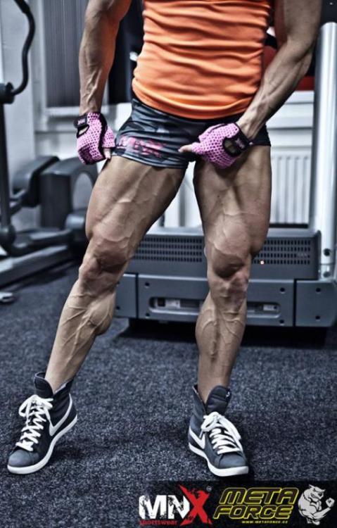 post-6888-0-52595400-1391458044_thumb.jp