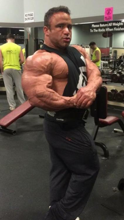 post-6888-0-75475500-1423772520_thumb.jp