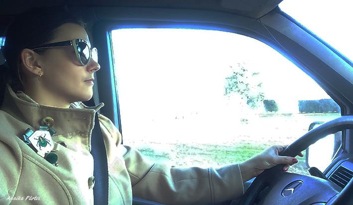 post-1184-0-55339400-1455814269_thumb.jp