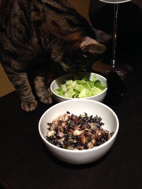 post-38704-0-76277500-1455716786_thumb.j