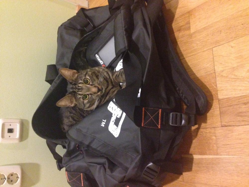 post-38704-0-98620900-1456510370_thumb.j