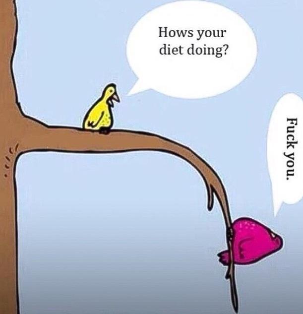 post-1184-0-53517500-1426524396_thumb.jp