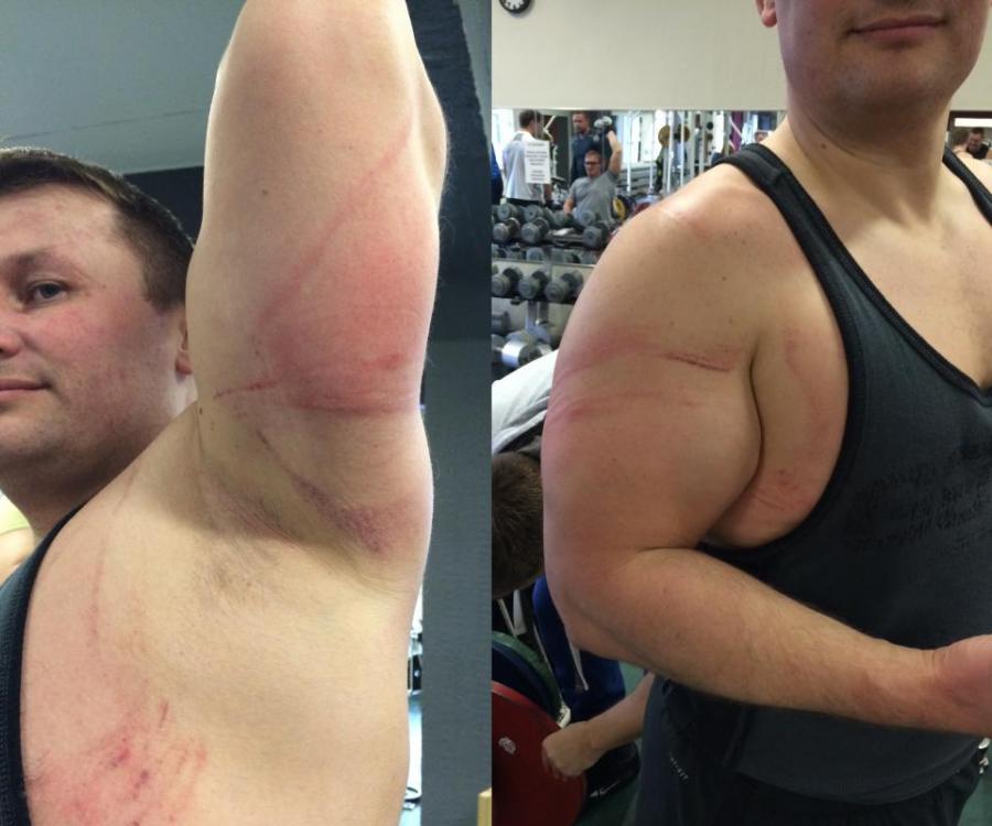 post-18803-0-03829400-1426874203_thumb.j