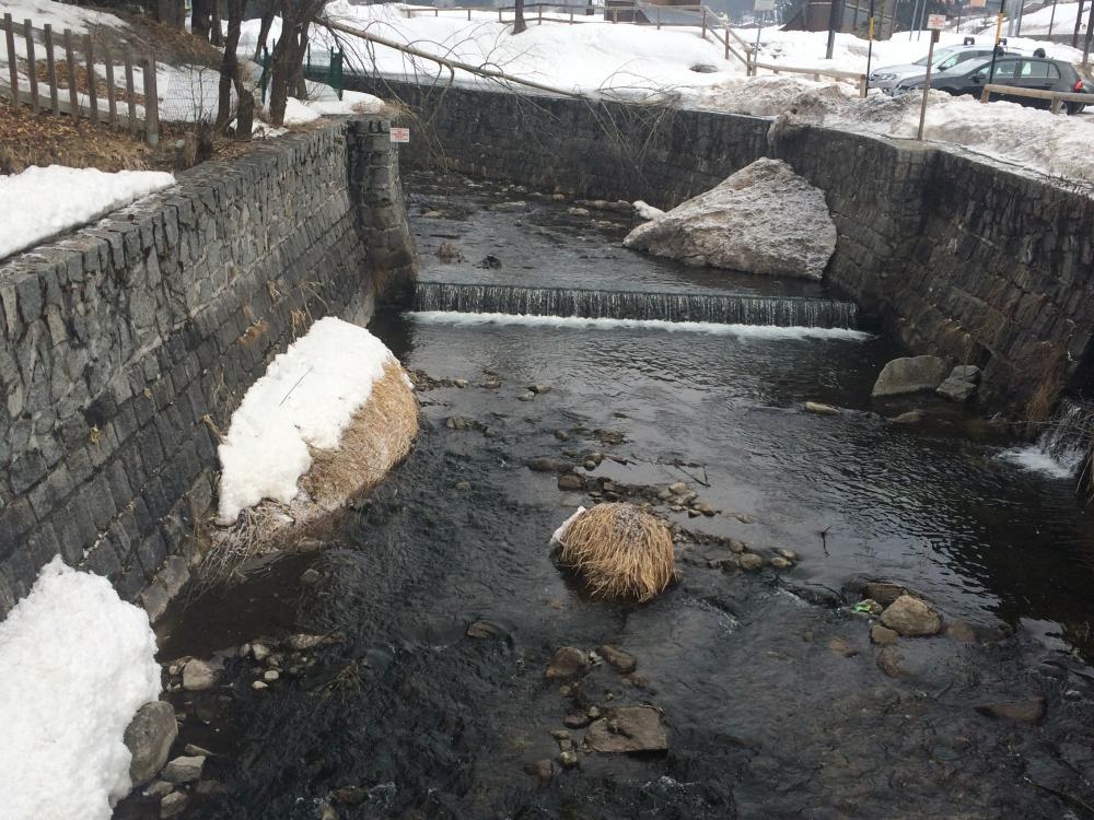 post-35016-0-23215400-1426525504_thumb.j