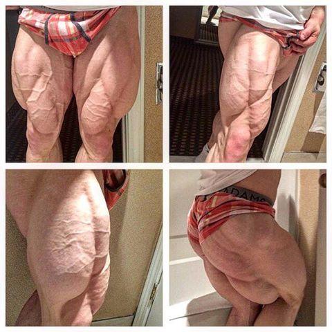 post-6888-0-17476700-1456929315_thumb.jp