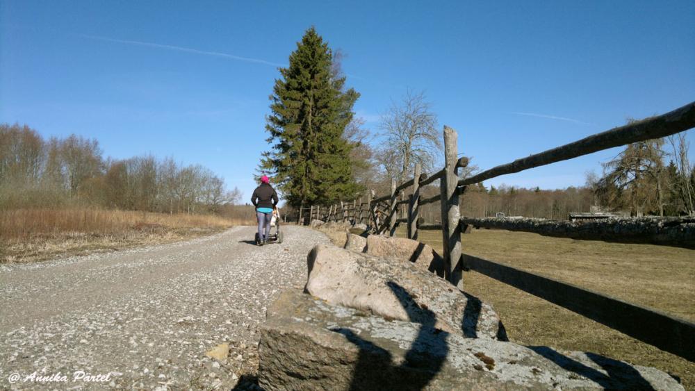 post-1184-0-37714300-1396422443_thumb.jp