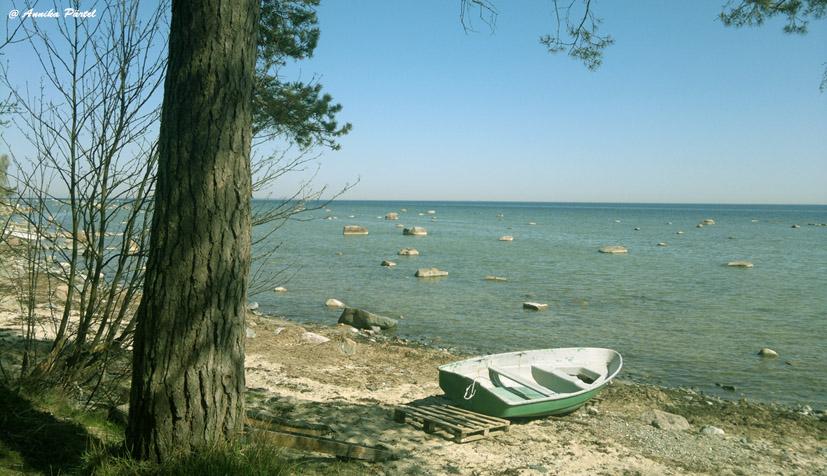 post-1184-0-54701700-1398272216_thumb.jp