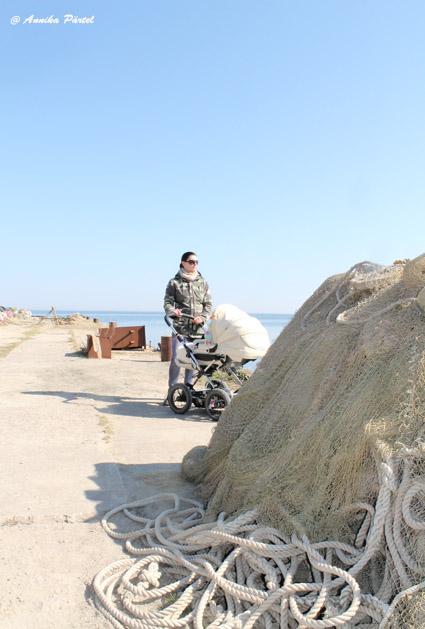 post-1184-0-89228600-1398100804_thumb.jp