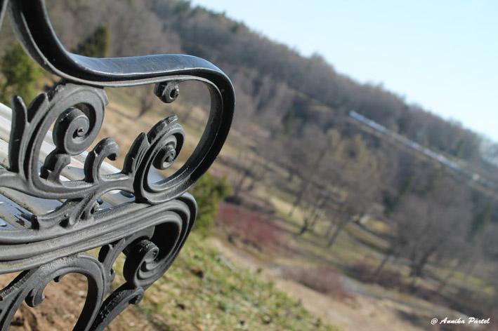 post-1184-0-97117000-1398100755_thumb.jp