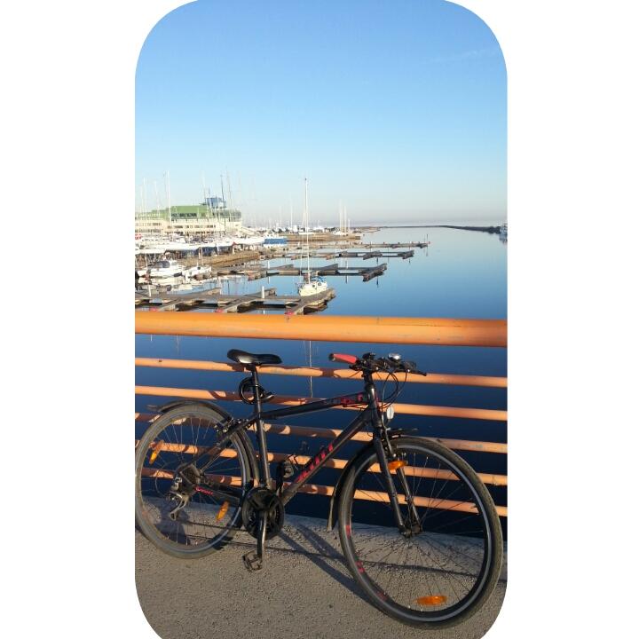 post-20384-0-58970100-1398282914_thumb.j