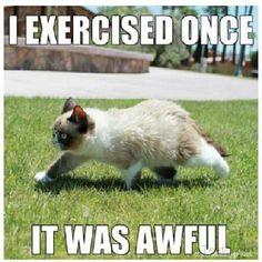 post-33588-0-13801400-1396544378_thumb.j