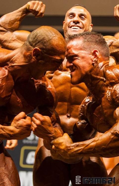 post-6888-0-19530300-1398670487_thumb.jp