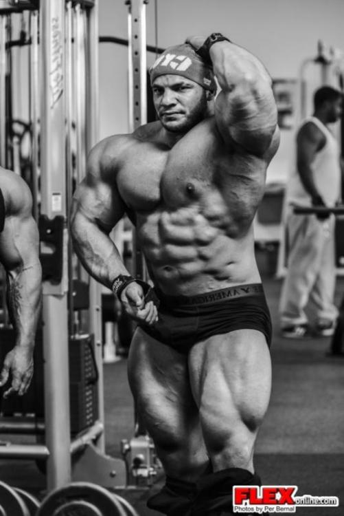 post-6888-0-60088300-1397224306_thumb.jp