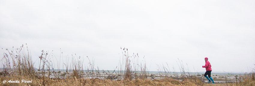 post-1184-0-67339300-1427905863_thumb.jp