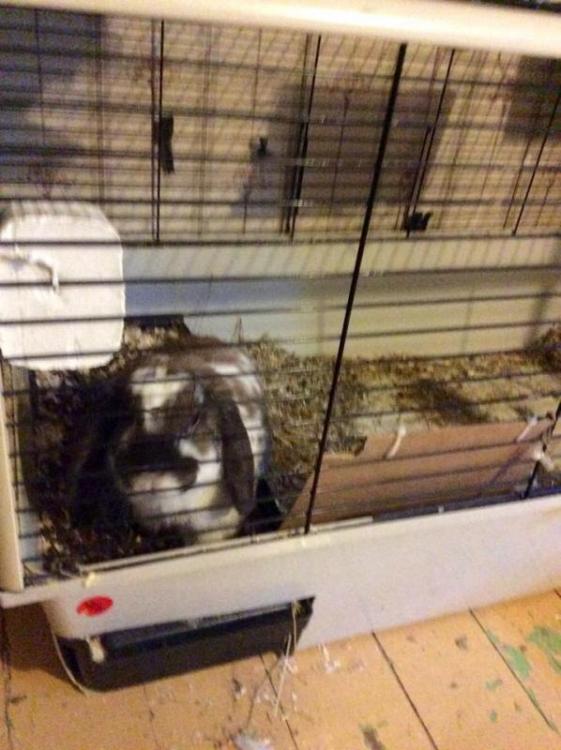 post-27690-0-63146500-1429508473_thumb.j