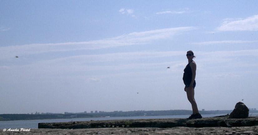 post-1184-0-55052900-1400507398_thumb.jp