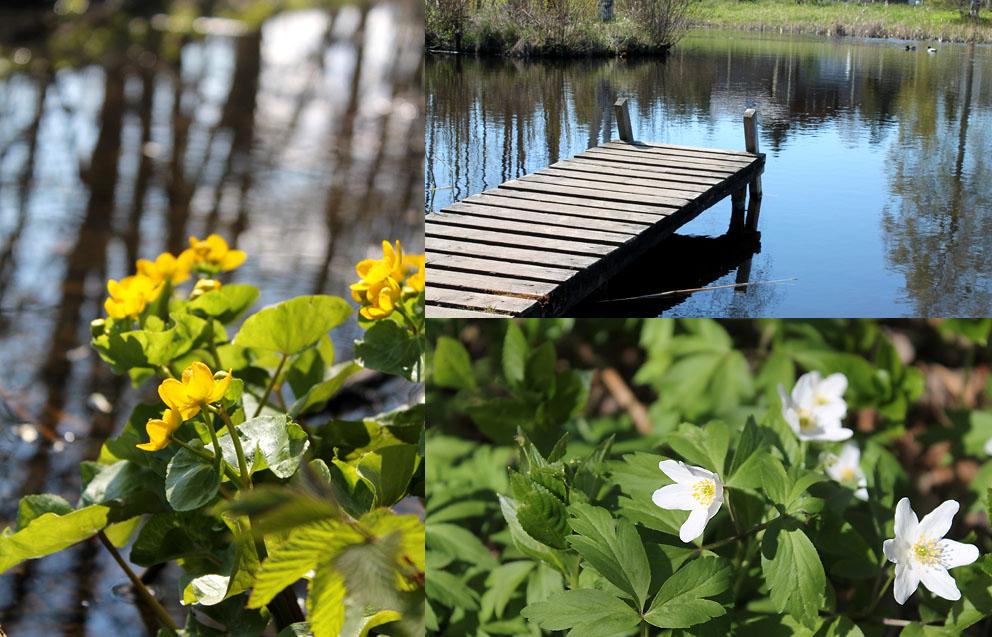 post-1184-0-81190300-1399452085_thumb.jp