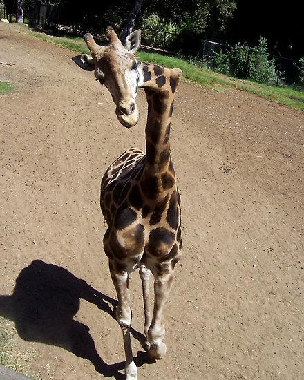 post-29847-0-87961900-1401189564_thumb.j