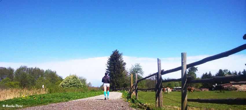 post-1184-0-25808900-1432465790_thumb.jp