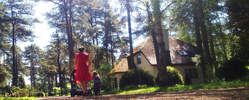 post-1184-0-36671500-1432568996_thumb.jp