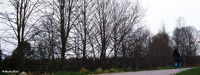 post-1184-0-89026900-1431802478_thumb.jp