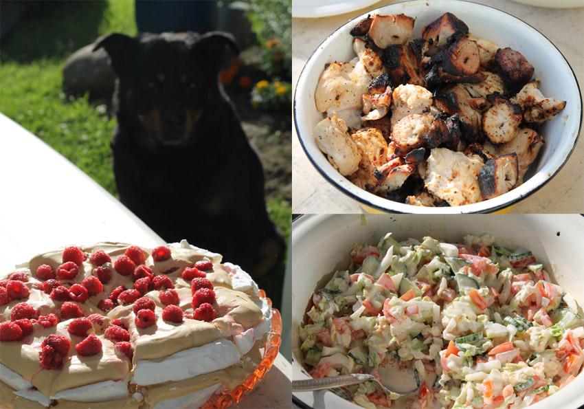 post-1184-0-26800100-1403085293_thumb.jp