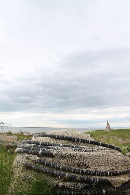 post-1184-0-71010700-1403466824_thumb.jp