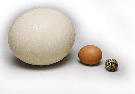 post-1184-0-99135600-1403939364_thumb.jp