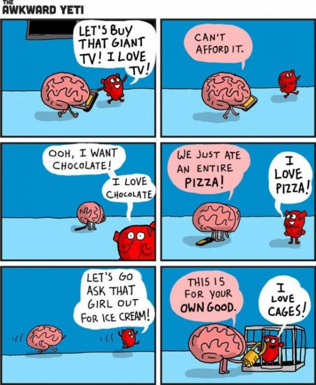 post-29847-0-66193100-1402648464_thumb.j