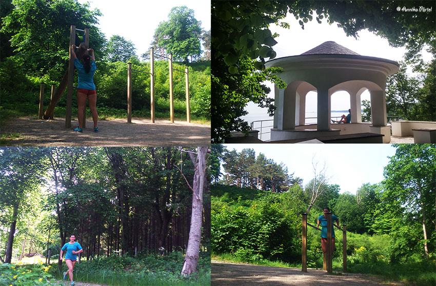 post-1184-0-06094200-1434429882_thumb.jp