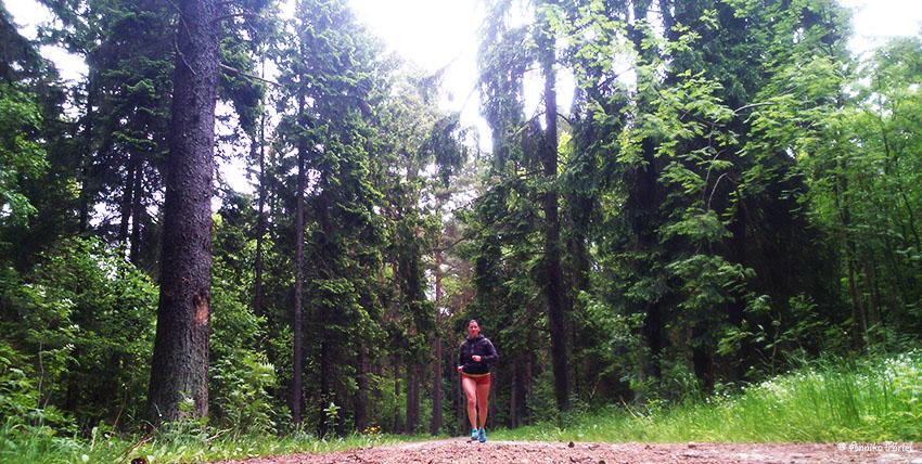 post-1184-0-24202000-1433590663_thumb.jp