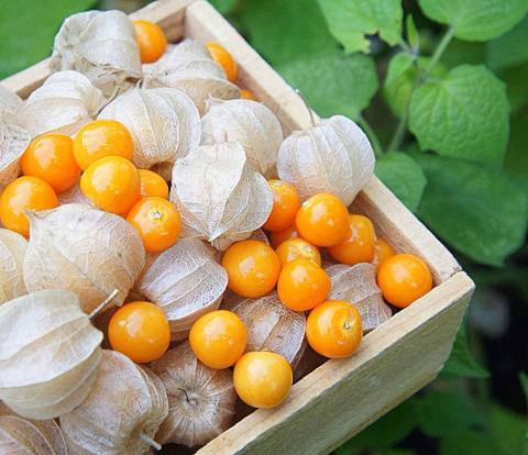 post-31591-0-71668600-1434105682_thumb.j