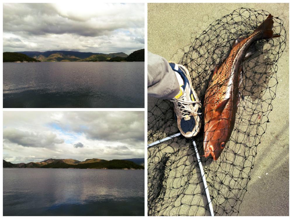 post-4814-0-33851700-1435257752_thumb.jp