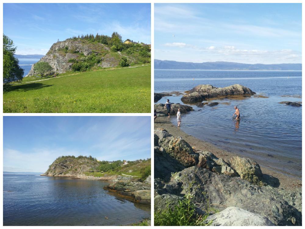 post-4814-0-69762200-1434817292_thumb.jp