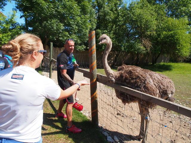 post-15035-0-41433400-1373981149_thumb.j