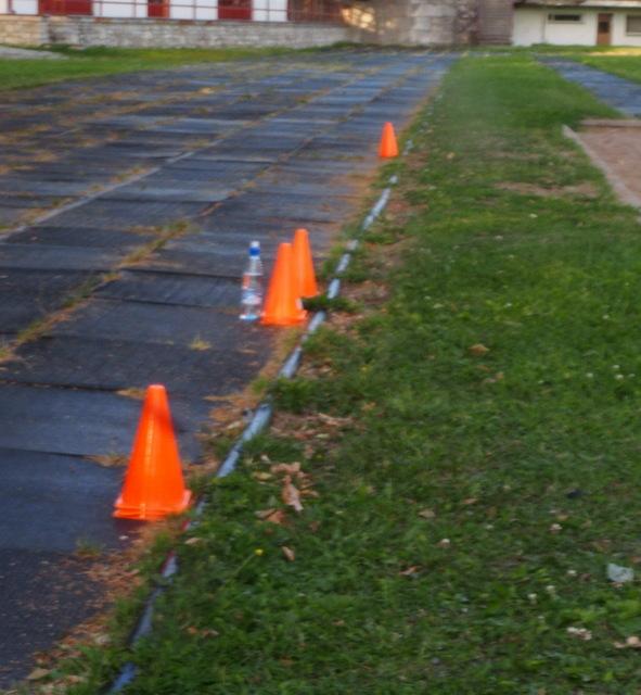 post-15035-0-57409500-1374092613_thumb.j