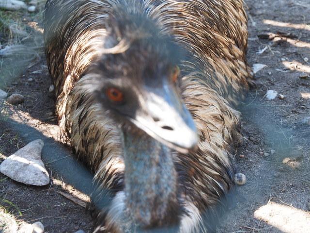 post-15035-0-59461500-1373981156_thumb.j