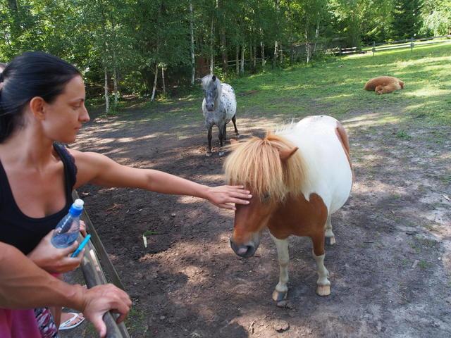 post-15035-0-68350000-1373981161_thumb.j